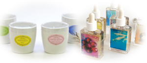 �A���}�e���s�[�O�b�Y�ƃq�[�����O�O�b�Yshopping