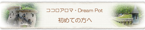 �R�R���A���}�E Dream Pot�@���߂Ă̕���