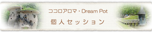 �R�R���A���}�E Dream Pot�@�l�Z�b�V����