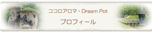 �R�R���A���}�E Dream Pot�@�v���t�B�[��